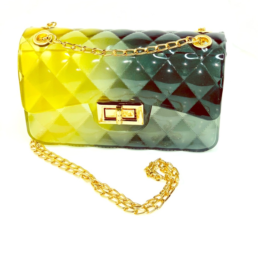 Gold chain Jelly handbag Purse